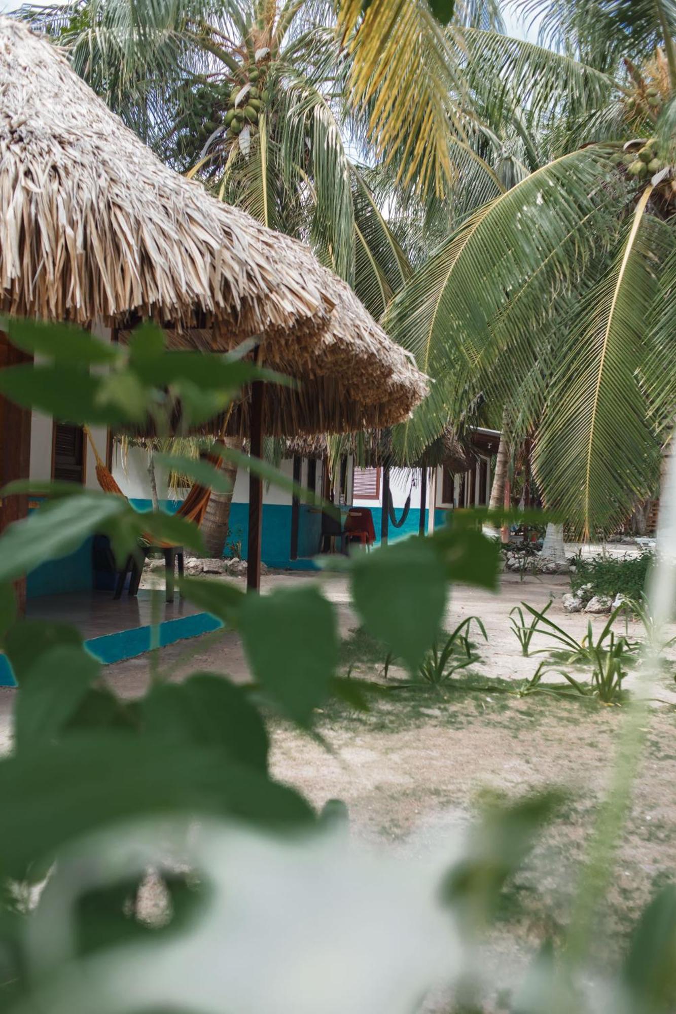 Isla Grande Eco-Hostal Ngoại thất bức ảnh