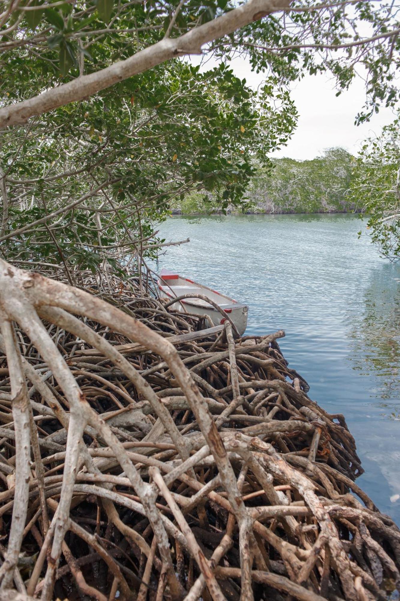 Isla Grande Eco-Hostal Ngoại thất bức ảnh